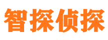 道里智探私家侦探公司